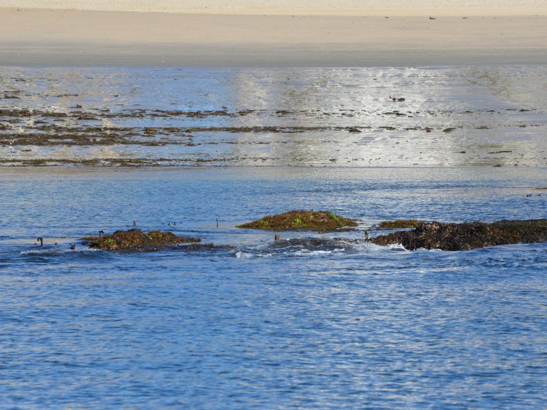 ... Ungeheuer? Vor dem Strand liegen beträchtliche Felsbrocken, die uns aber beim Ankern nicht gestört haben. 