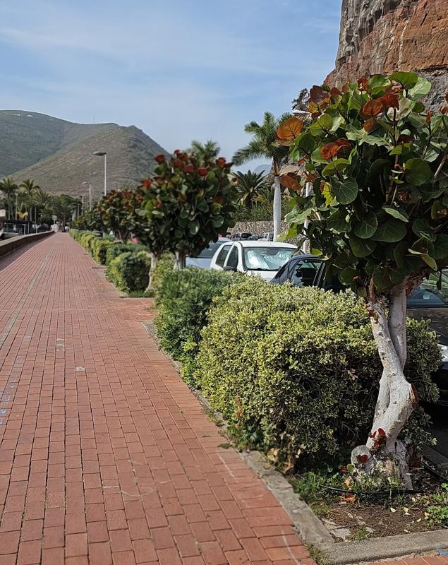 Promenade von der Marina in die Stadt