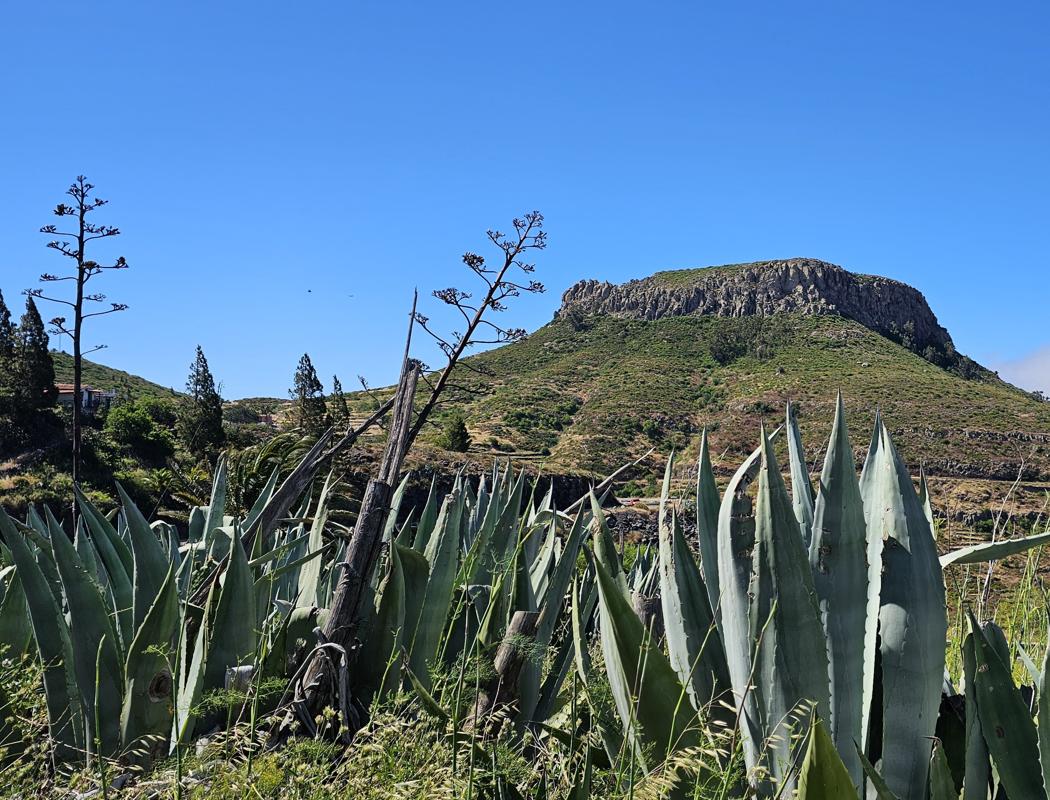 Blick zur Fortaleza